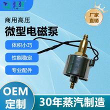 蒸汽清潔機微型電磁泵商用高壓清洗機高溫消毒洗車電機熱水泵