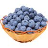 [SF cold chain]goods in stock fresh Blueberry Collections Clear fresh fruit Mountain Blueberry Complementary food baking