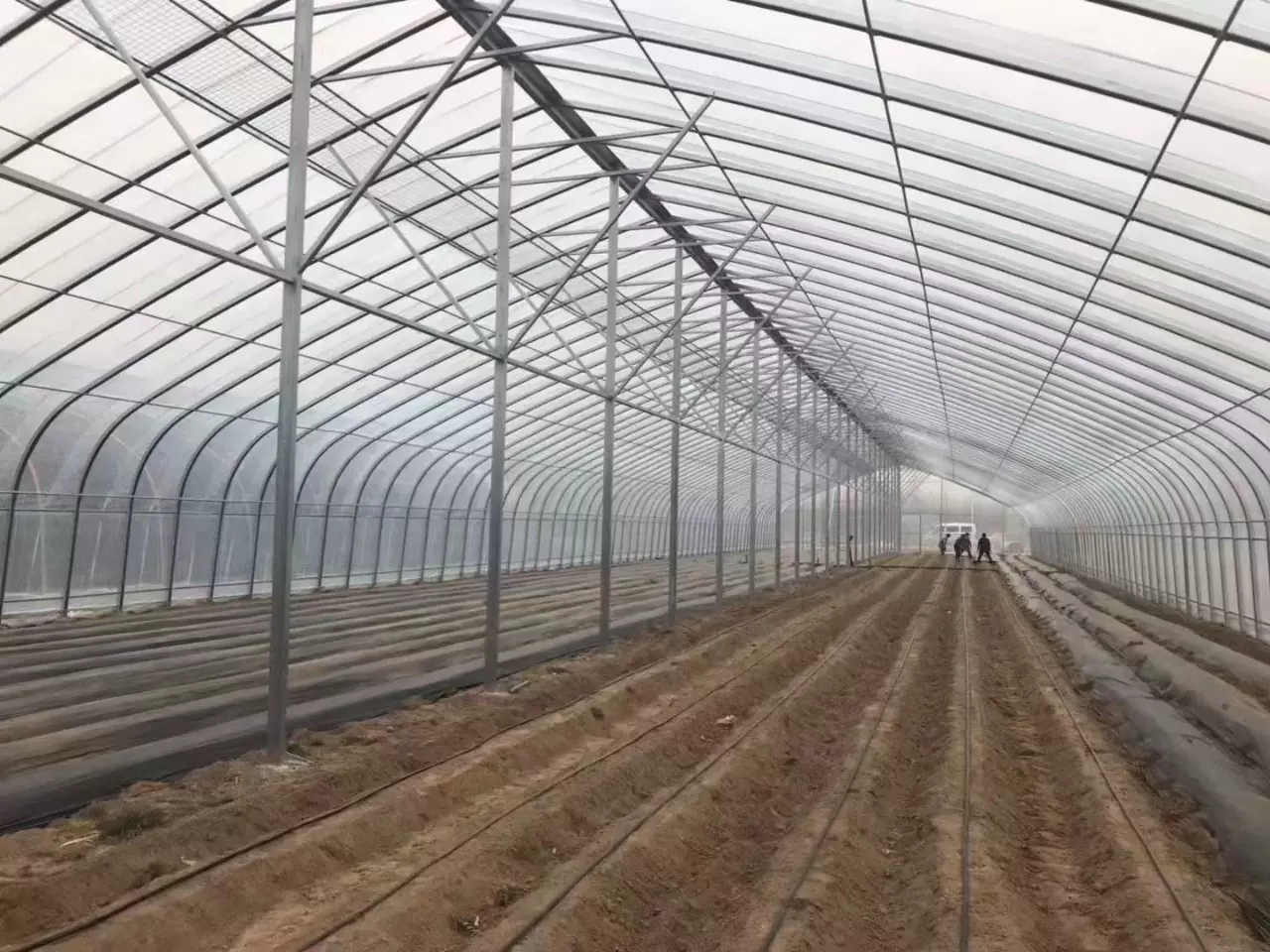 日光温室大棚 农冬暖式蔬菜大棚 蔬菜过冬大棚 棉被蔬菜大棚