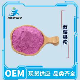 蓝莓果粉99%  水溶性固体饮料食品级原料 现货供应量大优惠