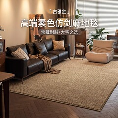 リビングルーム用の模造サイザル麻カーペット、汚れにくくお手入れが簡単、新しいミッドセンチュリースタイルの寝室用猫傷防止マット、滑り止め、大面積