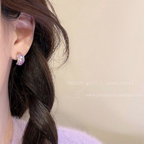 Korean niche exquisite zircon earrings for women, new Western-style earrings, light luxury, high-end, versatile and popular earrings