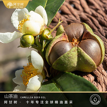 ���ʘ��䉺ɽ���� Camellia seed ֲ���ͻ��A���Ͳ�����