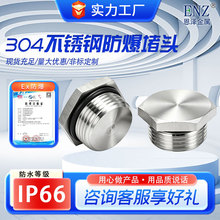 不锈钢304堵头电工丝堵不锈钢旋入式塞头外六角实心闷盖防爆堵头