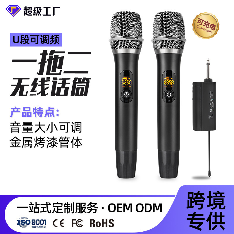 Professional Wireless Microphone with Receiver Microphone One to Two U-Band Fixed Frequency Home Ktv External Audio Karaoke