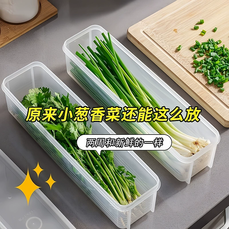 Herb & Noodle Storage Box, Multi-Size Fresh-Keeping Container, 25.5×7.5×5 cm (Chive Box)
