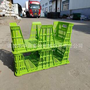 �p���_�ڷN���� 42ö��̖�N���� �ۼtɫ�N�����D�� Ҏ�����