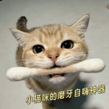 ��è������ǩ����è���1֧װ���ڽ��ƴ����èĥ�������ý��
