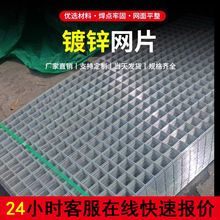 镀锌网片电焊网片建筑网格养殖隔离围栏网地暖钢丝防护网钢筋网片