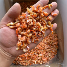 ���˓Q �r���r�ʸɺ����������׺��r���h���׺���؛���l