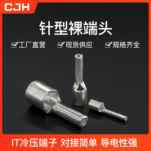 CJH Copper/brass IT0.5-1 Square Cold-pressed Terminal Block/wiring End Pin-shaped Pin Silver-plated Bare End