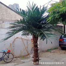 仿真棕榈树热带室内外大型假棕树人字皮假树商场酒店大树摆件绿植
