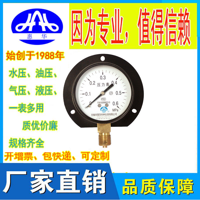 惠华特种仪表-船用压力表