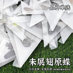 δչ��ԭ���˱�A1/A-Ʒ�|DIY�ֹ�ԭ������������Ǵ����b�Ή�����