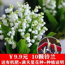 10wmbmN绨ԷNӻN_ֲﳬͺ