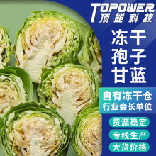 厂家现货冻干袍子甘蓝FD孢子甘蓝 小颗卷心菜 宠物零食蔬菜干批发