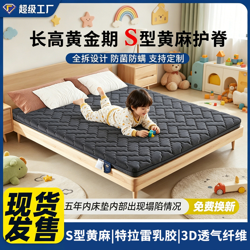 Fully Disassembled Anti-Mite Latex Glue-Free Elderly and Children's Spine-Protecting S-Shaped Natural Jute Tatami Bunk Bed Hard Mattress