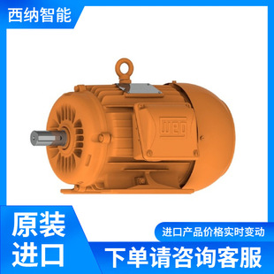 WEG늙CW22-IE2-1.1KW-4P-80-380V-50HZ-V1