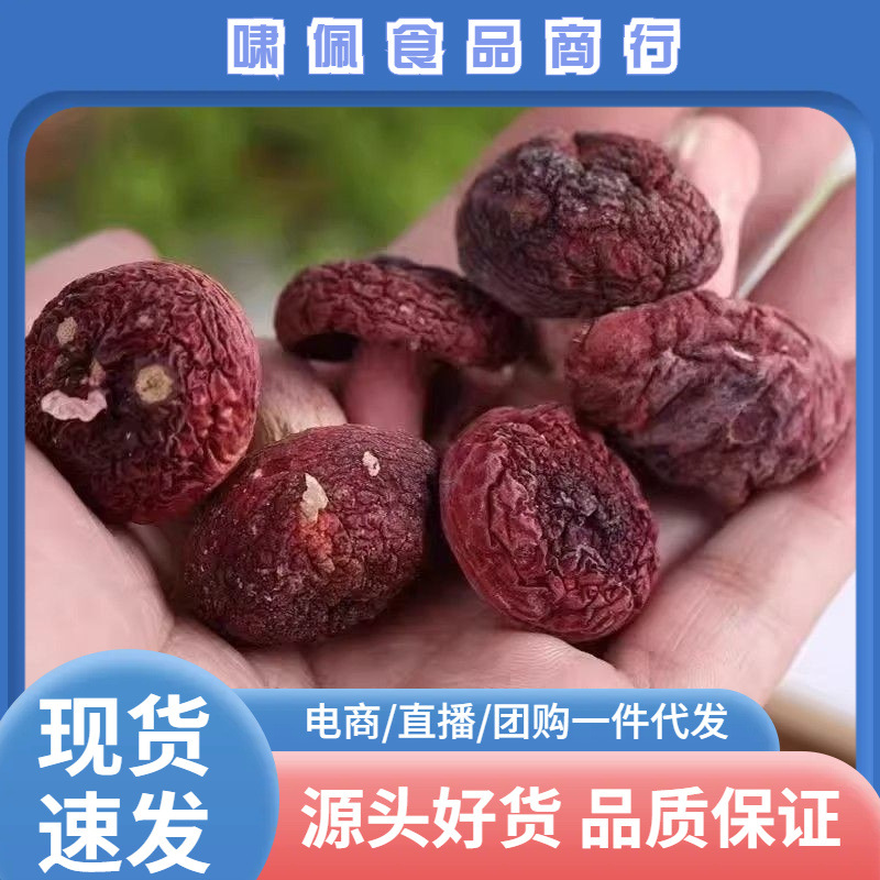 云南食用菌产地货源直供小红菇丁小中大标菇蘑菇大红菇云南特产