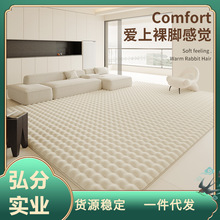 地毯客厅卧室床边毯厚泡泡绒2023新款茶几飘窗房间冬季仿兔毛地毯