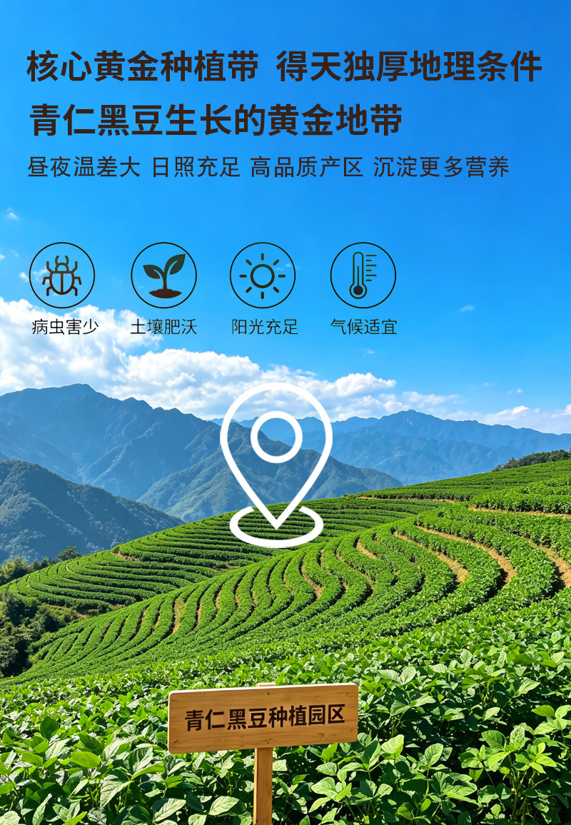 Roasted Green-Kernel Black Bean Powder Hei Dou Fen Glycine max Ready-to-Mix Meal Replacement 500g preparation