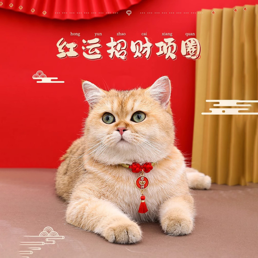 Collar de gatos collar de gatos collar de gatos