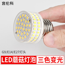 g9led����ȫ������ɫ���ɵ������Թ�23w���ʹ�Դ������ŵ���