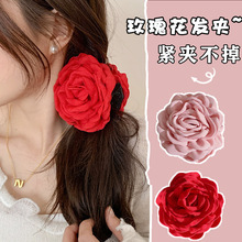 ץ�A�l�A���~�A��̖Caroͬ��õ�廨��С�����|2024�¿����X��