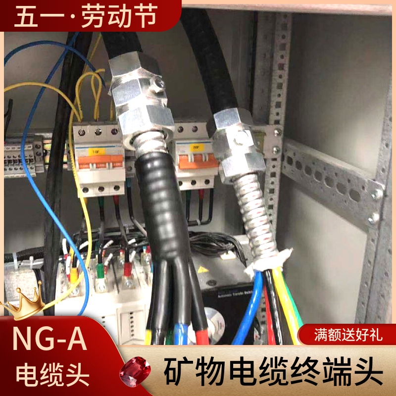 德力安电力 BTLY单芯 矿物质电缆头NG-A接地终端头