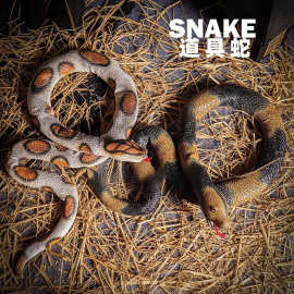 仿真动物模型软胶眼镜蛇大蟒蛇响尾蛇黄金蟒蛇青蛇万圣节整垒德株