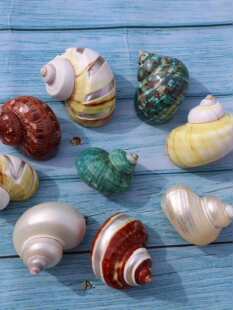 ����ȥƤ�y���¹����ֹ�diy͸���ľ�з��Q���Gϔ��ȥƤ����