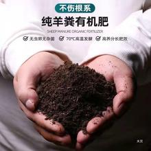 羊粪发酵有机肥100斤家用养花种菜通用型底肥种花农家肥