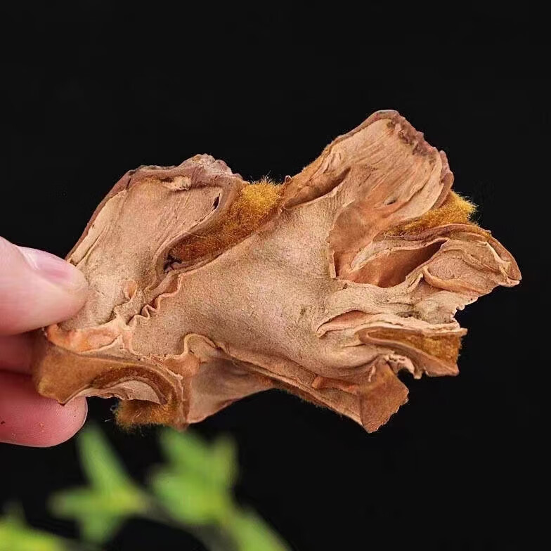 Gou Ji Dried Slices 500g Cibotium Barometz Rhizome Raw Herb for Decoction and Soup overview