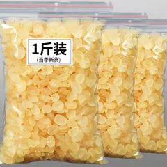 新入荷 雪蓮の種【ソープアングルライス】ソープアングルライス シングルポッド ダブルポッド ピーチガムと雪のツバメを添えた野生の雪蓮の種