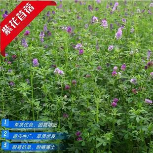 �ϻ���ޣ�N�Ӷ�������ޣ���������u���Z�iţ���~�������l����؛