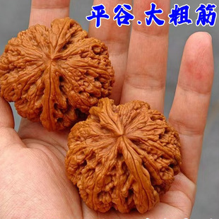 ƽ�ȴ�ֽ�������Ҙ���˽�۶��{���^�������Ԫ���������Ե���