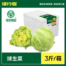 【绿行者】球生菜3斤汉堡用圆形生菜新鲜蔬菜沙拉食材色拉菜即食