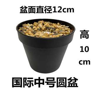 ����Gֲ����������ĭ��Сʯ�^���ݼyֱͲ���H��廨�ݼy����