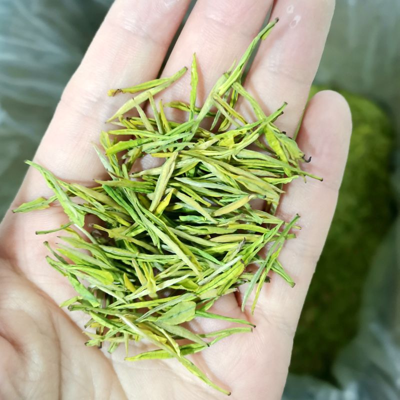 微信图片_20220813162740_副本800