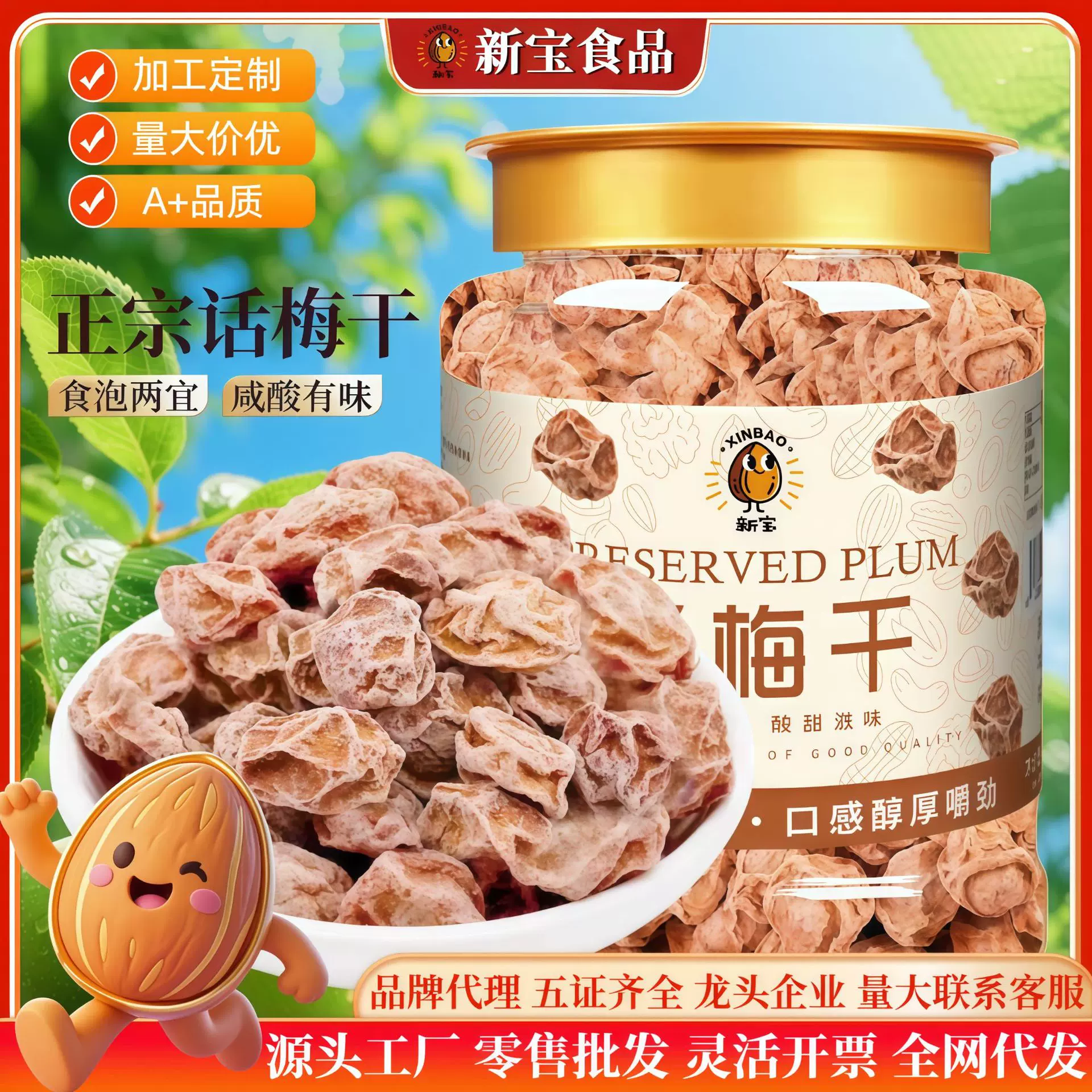 【新宝_话梅】正宗特产九制酸甜话梅微咸话梅干梅子果干蜜饯零食