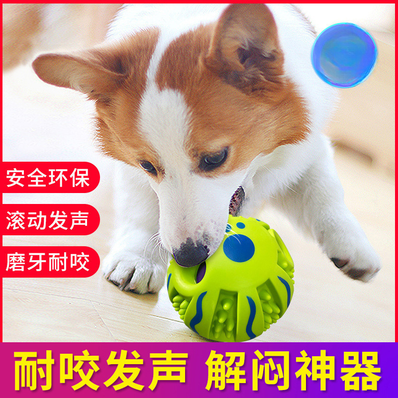 ペットの音ボール、噛みつき防止、噛みつき防止、犬の退屈解消、ドッグボール、音のおもちゃ、プラスチック製のおもちゃ|undefined
