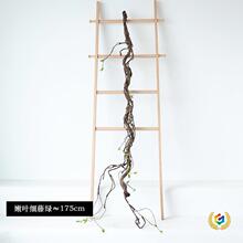 ?�l�ݿ��ٿ�֦��ˇ�bݘ���ܛ�b �@�ֹ����b�diy�ݘ�