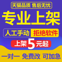 淘宝天猫店铺代上架宝贝手工上传商品发布产品宝贝上新详情页设计