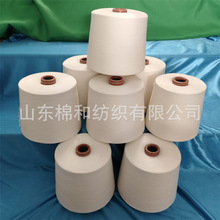 ��]��о��21֧+40D���]�w�S����ò�����ë�������ɫ���r�G�F؛