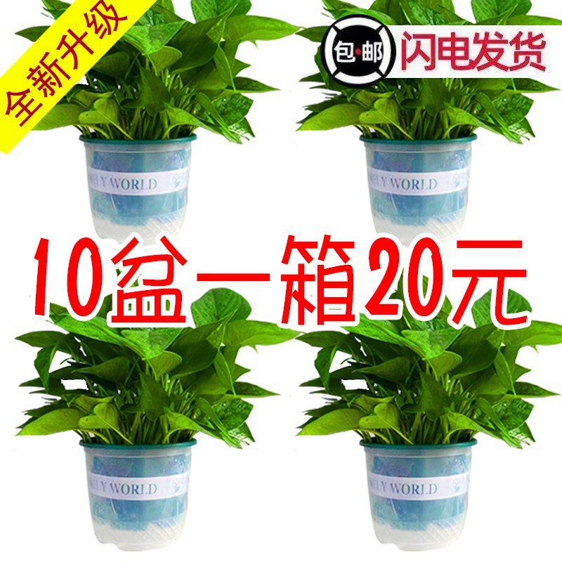 商品图