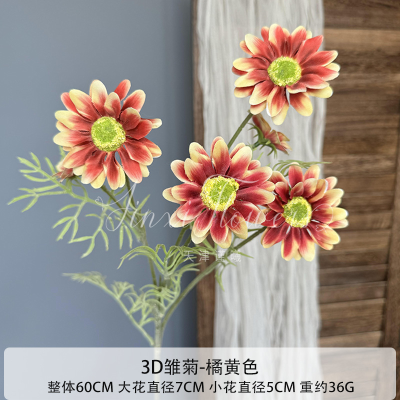 오렌지
