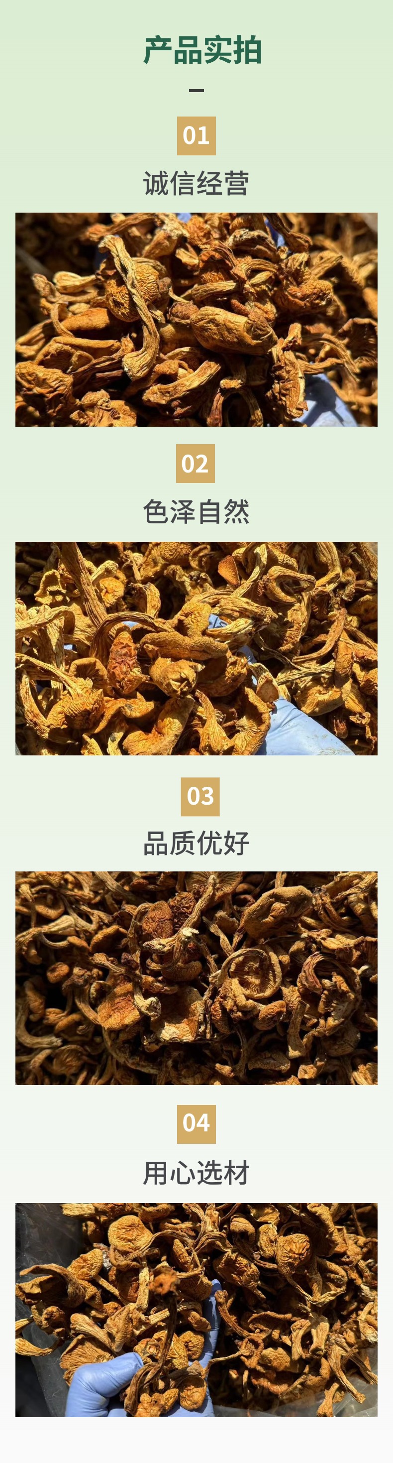 Dried Northeast Yellow Mushroom Hua Zi Gu Dried Mushroom for Chicken Stew 500g specifications