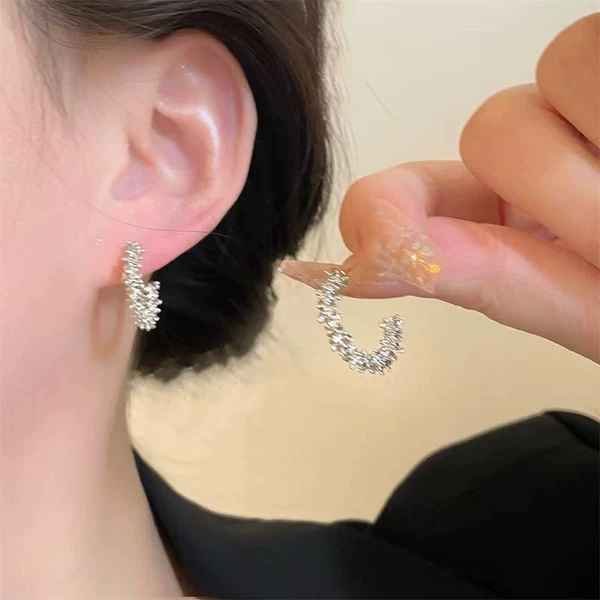 Small twig ear rings-silver