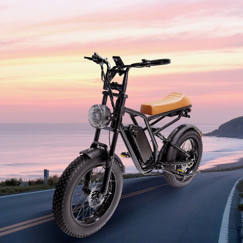 Hot-Selling Electric Off-Road Bicycle from Overseas Warehouse 20inch 750W 48V Lithium Battery Front and Rear Disc Brakes Full Suspension