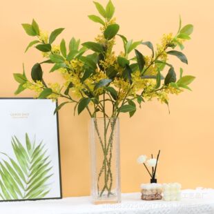 ����𻨘�֦�����Sɫ�����֦�@�������쾰�ҾӼٻ��廨���޽�